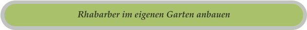 Rhabarber im eigenen Garten anbauen