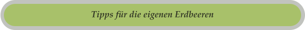 Tipps für die eigenen Erdbeeren