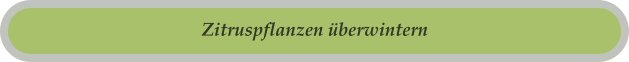 Zitruspflanzen überwintern